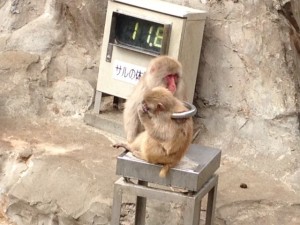 上野動物園２